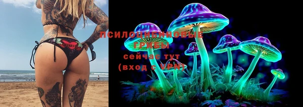 круглые Карпинск