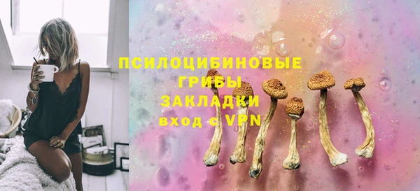 твердый Кинешма