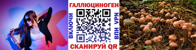наркошоп  Киренск  Псилоцибиновые грибы Psilocybine cubensis 